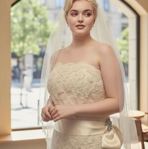 Alvina Valente Wedding Gown size 22